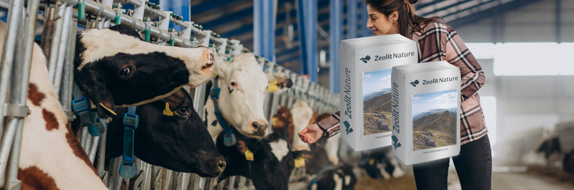Primena zeolita u stočarstvu